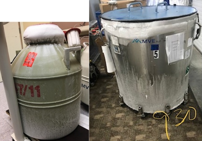 氣相儲存型 氣相儲存型