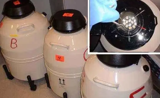 液氮罐 液氮罐